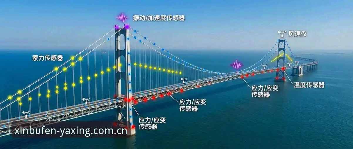 用新步伐定义本色2025安卓版下载 亚星体育平台的用新步伐定义本色2025安卓版下载,凭什么让数据说话?